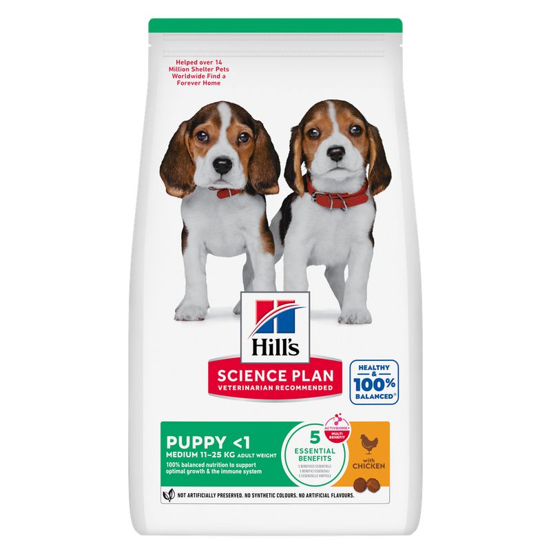 Hill’s Hill’s Science Plan Puppy <1 Medium with Chicken review