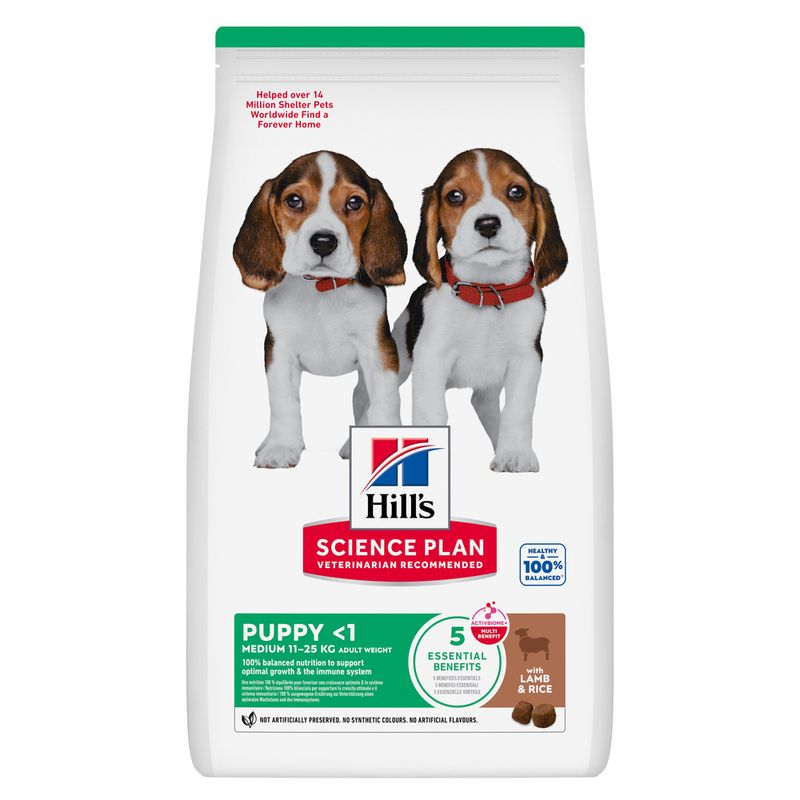 Hill’s Puppy <1 Medium with Lamb & Rice review