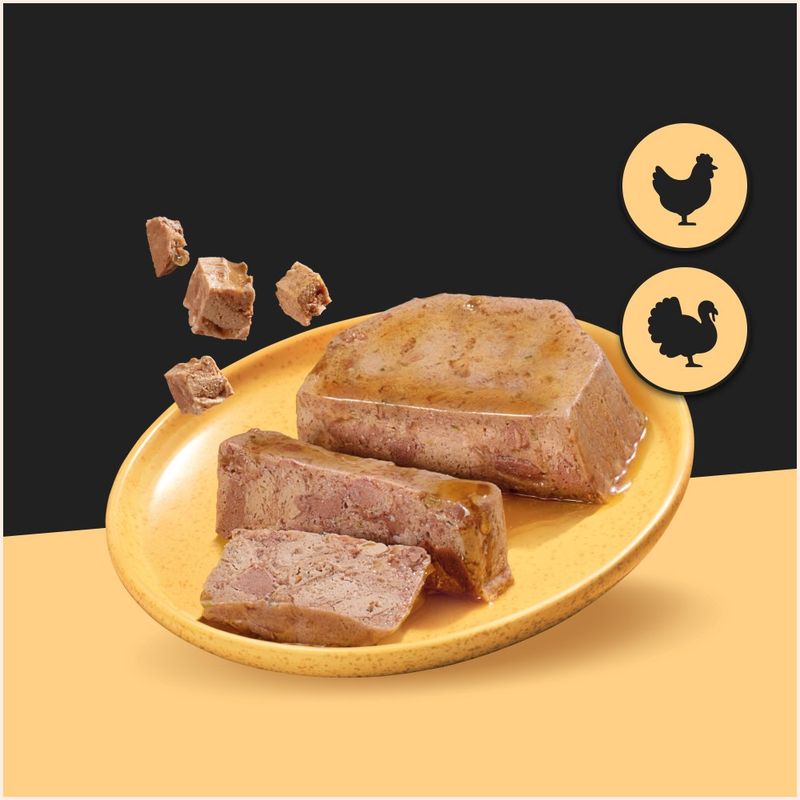 Cesar Classic Terrine Trays Rich in Chicken & Turkey review