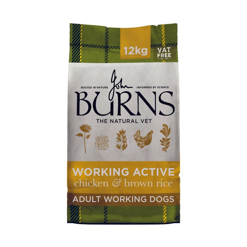 Burns Working Active - Chicken & Rice review