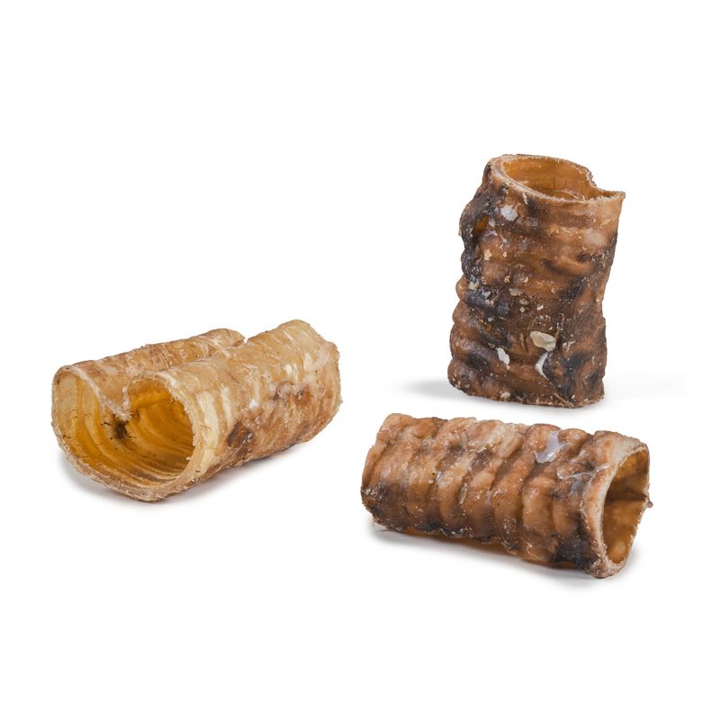 DIBO Premium Beef Gullet review