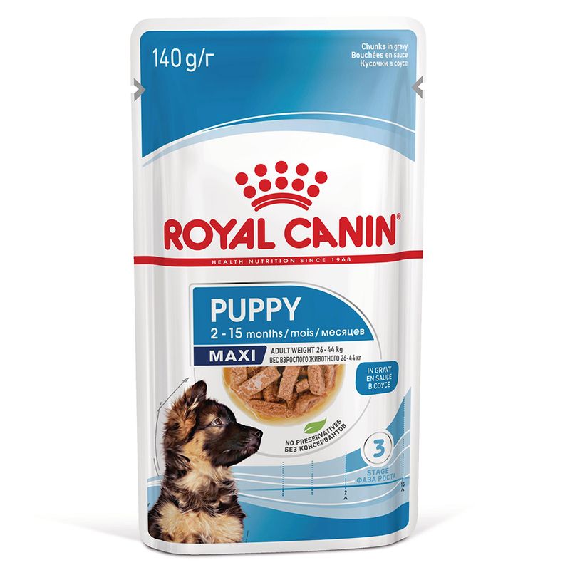 Royal Canin Maxi Puppy in Gravy review