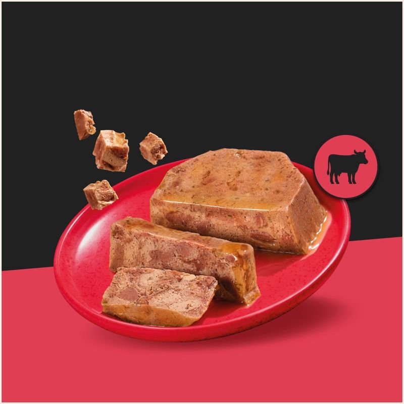Cesar Classic Terrine Trays in Loaf Mega Pack review