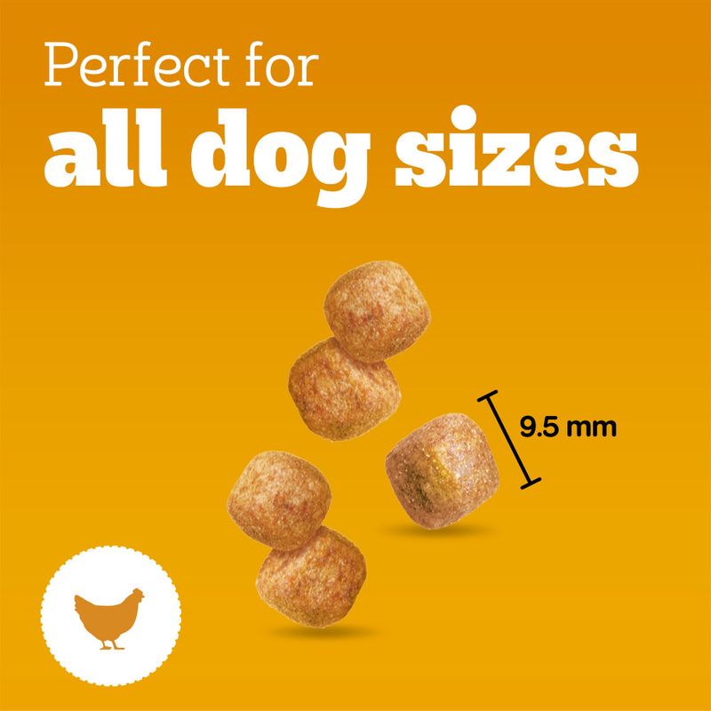 Pedigree Tasty Minis review