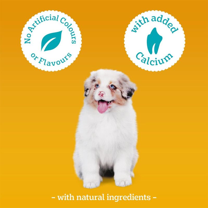 Pedigree Tasty Minis review
