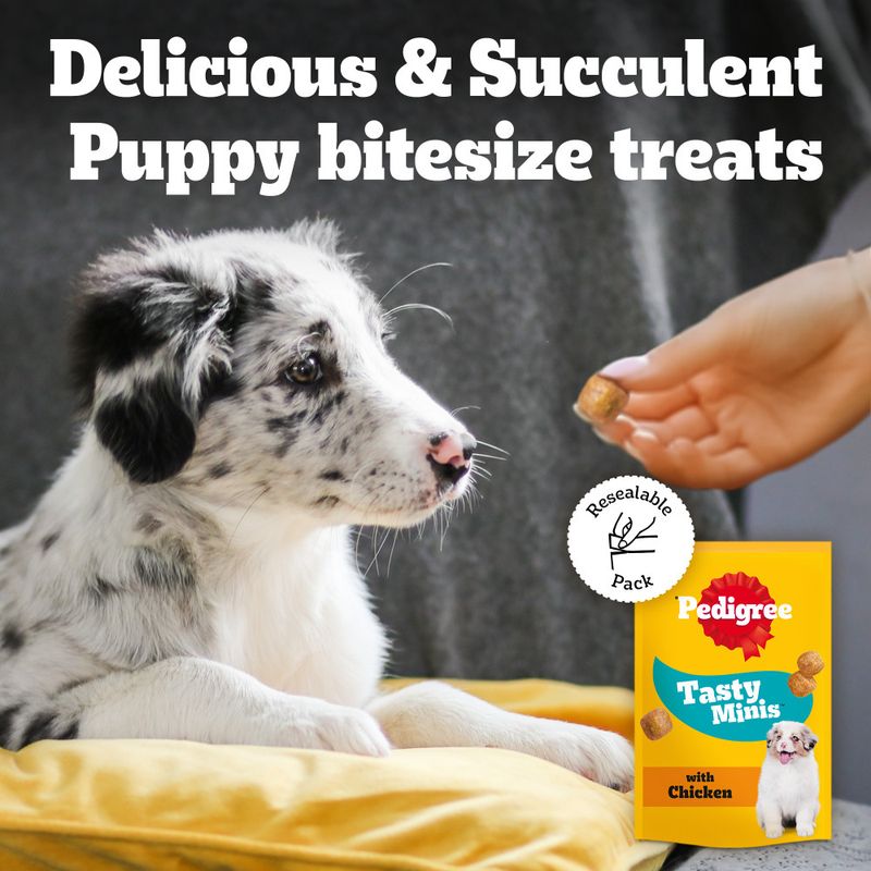 Pedigree Tasty Minis review