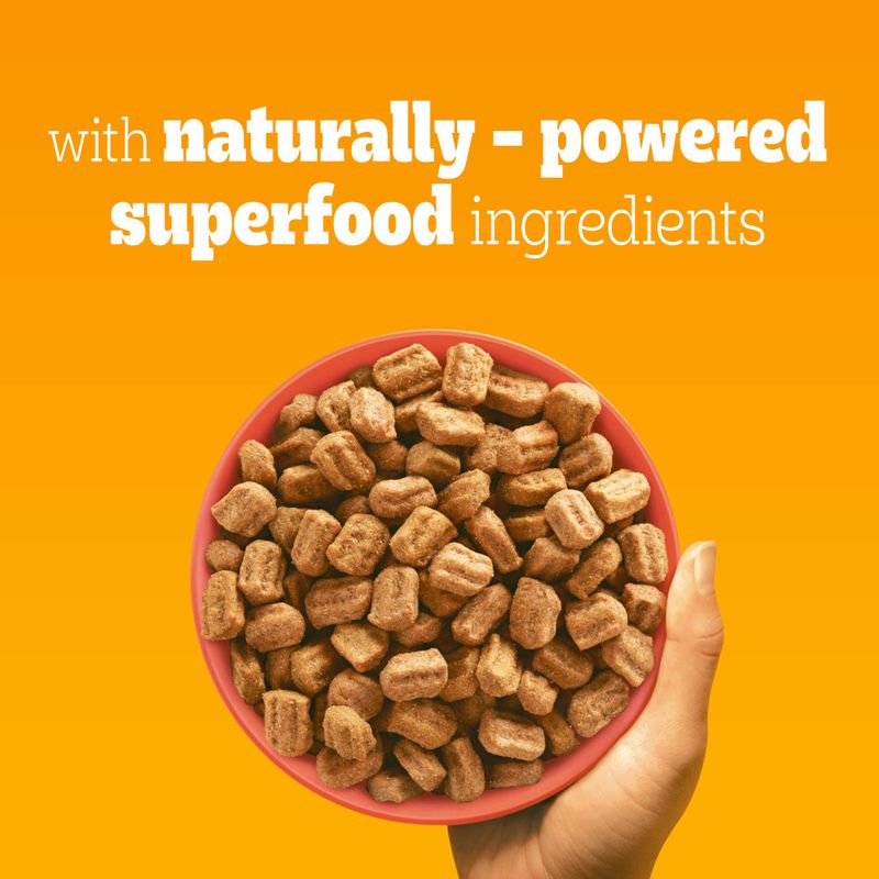 Pedigree Adult Complete with Beef & Vegetables review