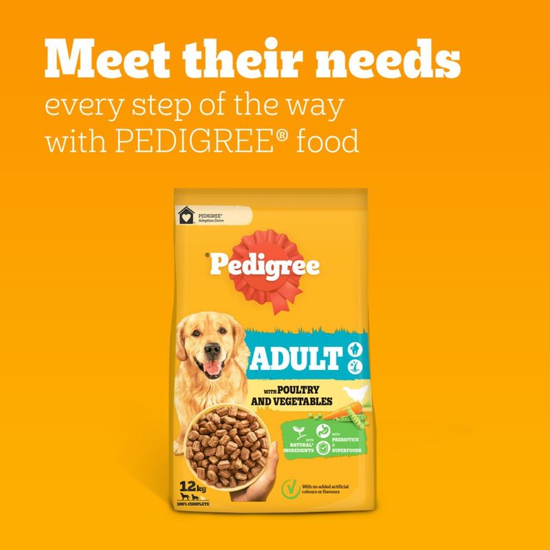 Pedigree Adult Complete with Poultry & Vegetables review