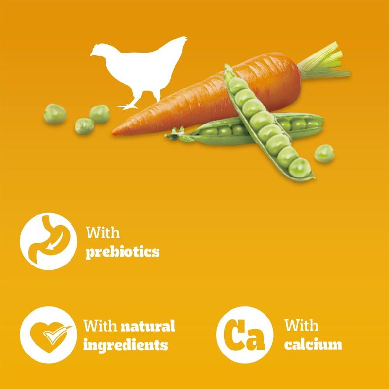 Pedigree Puppy Complete with Poultry & Vegetables review