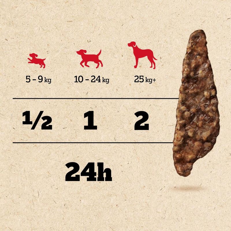 Pedigree Adult Ranchos Superfoods with Beef, Blueberries & Wholegrain review