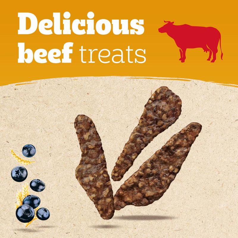 Pedigree Adult Ranchos Superfoods with Beef, Blueberries & Wholegrain review