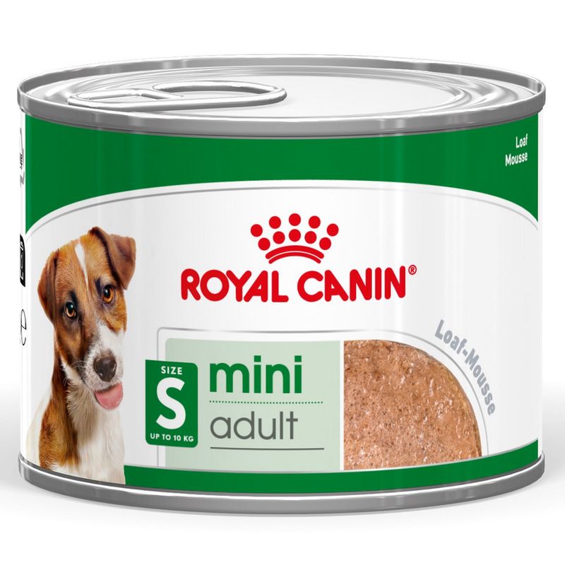 Royal Canin Mini Adult in Loaf review