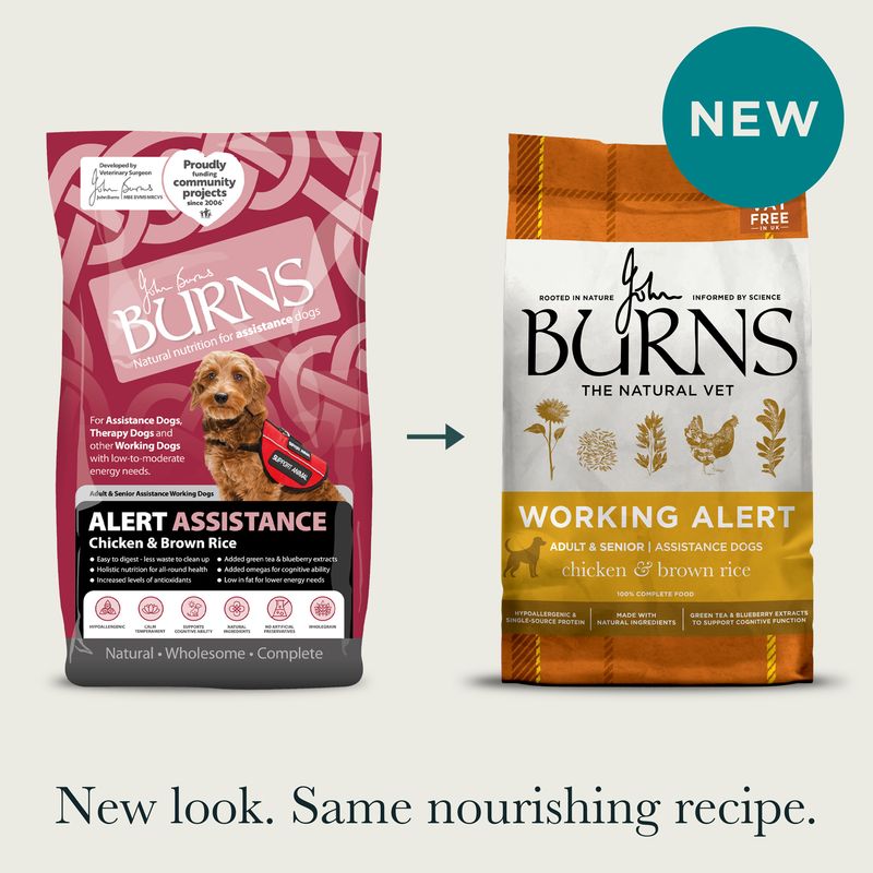 Burns Working Alert Assistance - Chicken & Brown Rice review