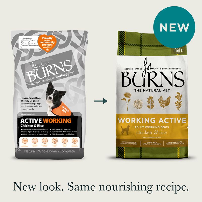 Burns Working Active - Chicken & Rice review