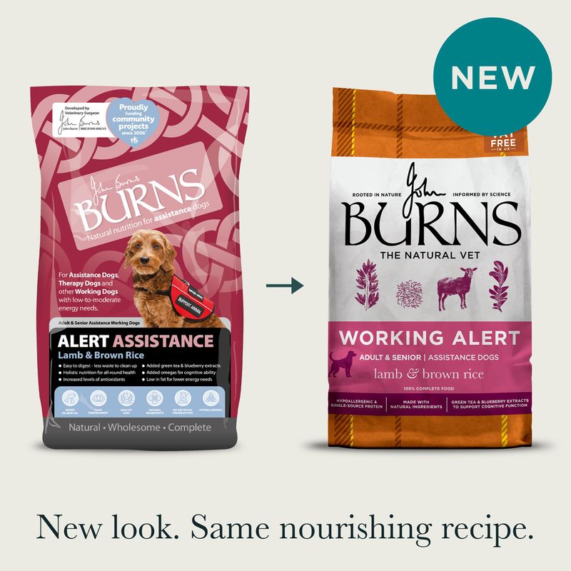 Burns Working Alert Assistance - Lamb & Brown Rice review