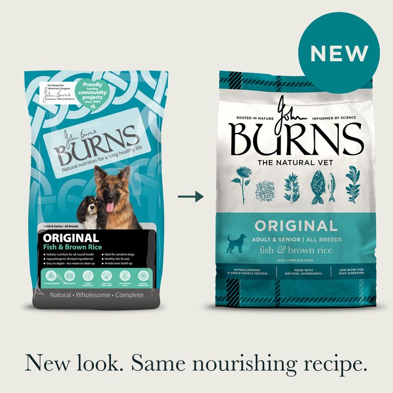 Burns Adult & Senior Original - Fish & Brown Rice review