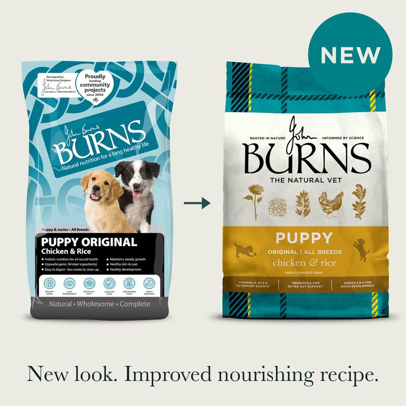 Burns Puppy Original - Chicken & Rice review