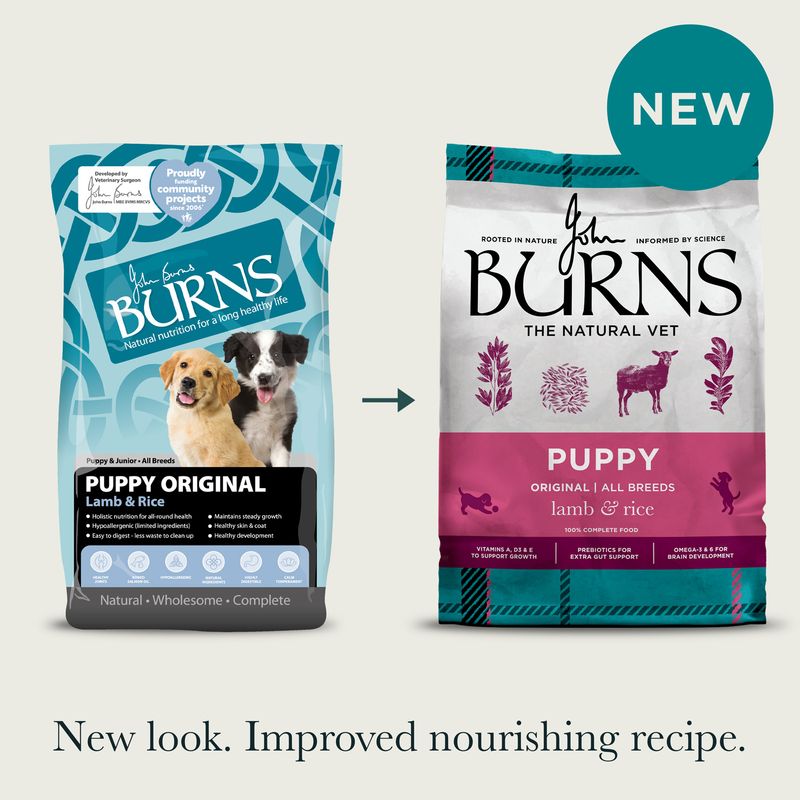 Burns Puppy Original - Lamb & Rice review