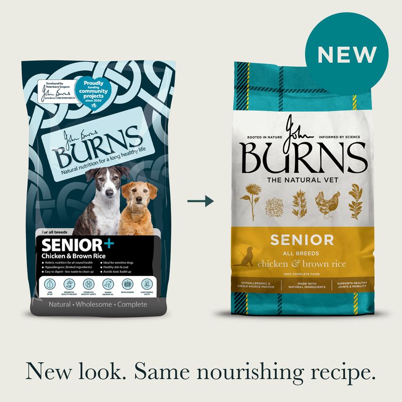 Burns Senior Original - Chicken & Brown Rice review