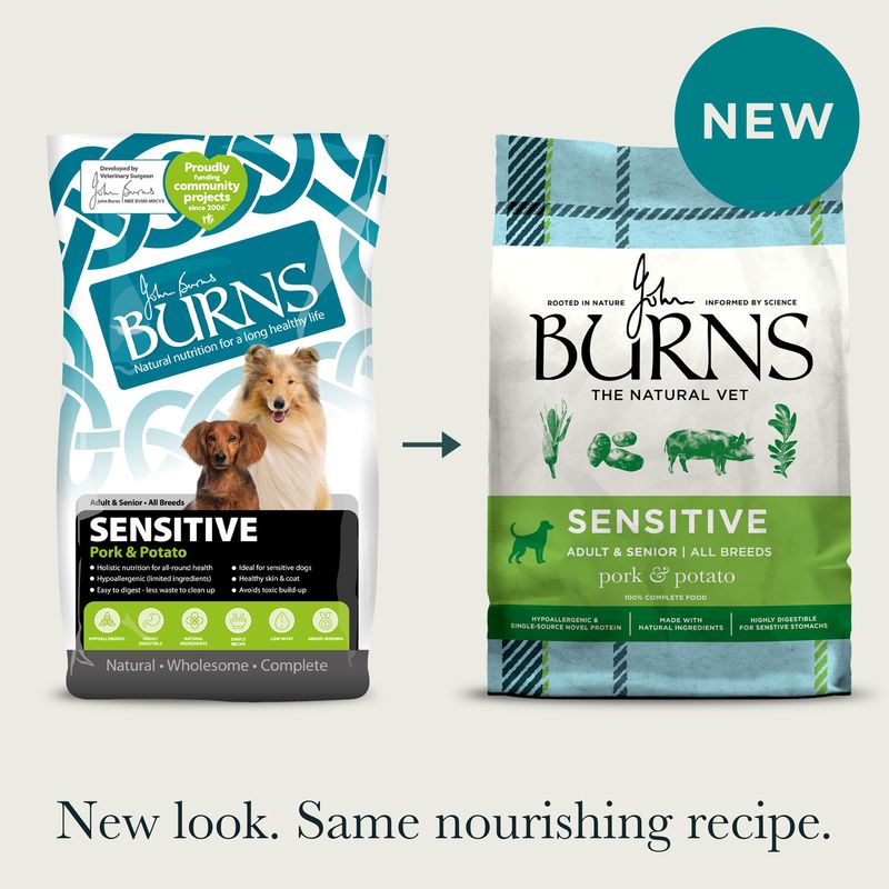 Burns Adult & Senior Sensitive - Pork & Potato review
