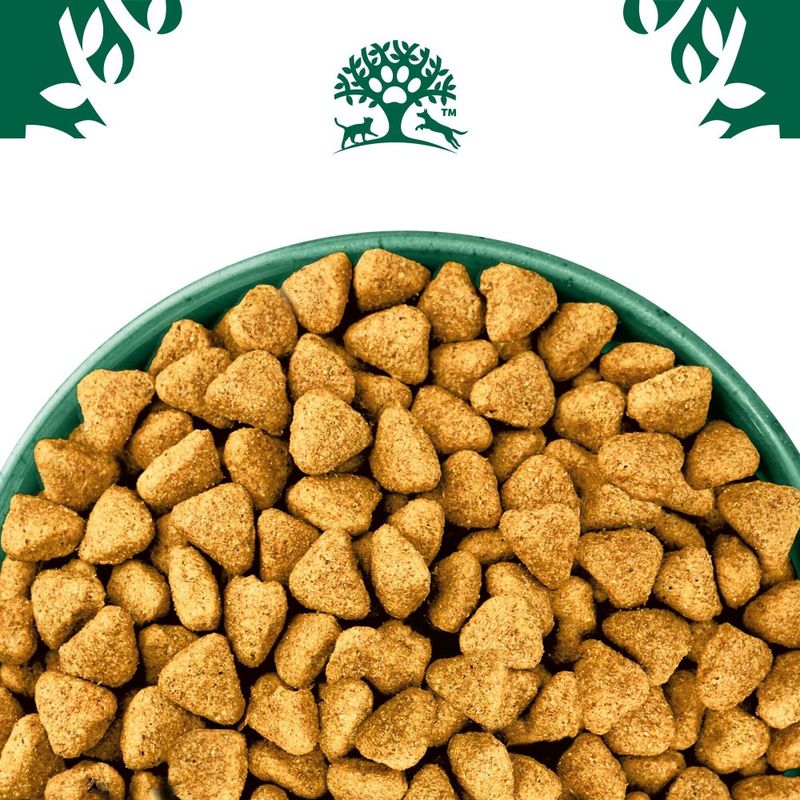 James Wellbeloved Grain Free Adult Dog Hypoallergenic Lamb & Vegetables review
