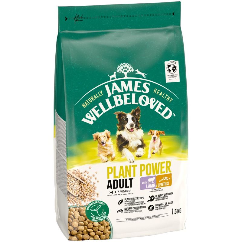 James Wellbeloved Adult Dog Hypoallergenic Plant Power Lamb & Lentils review