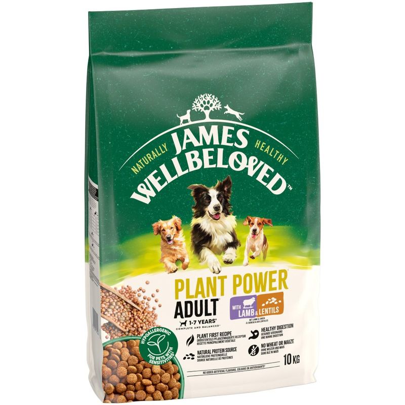 James Wellbeloved Adult Dog Hypoallergenic Plant Power Lamb & Lentils review