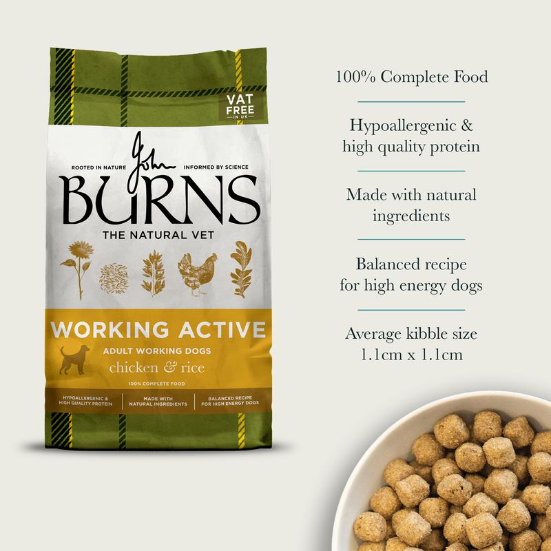 Burns Working Active - Chicken & Rice review