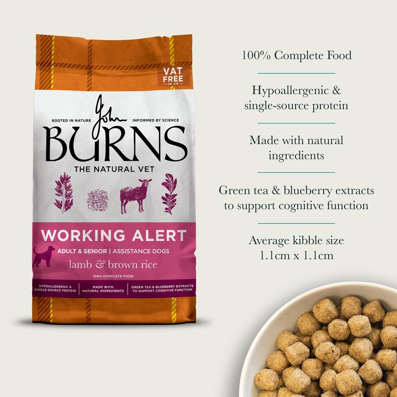 Burns Working Alert Assistance - Lamb & Brown Rice review