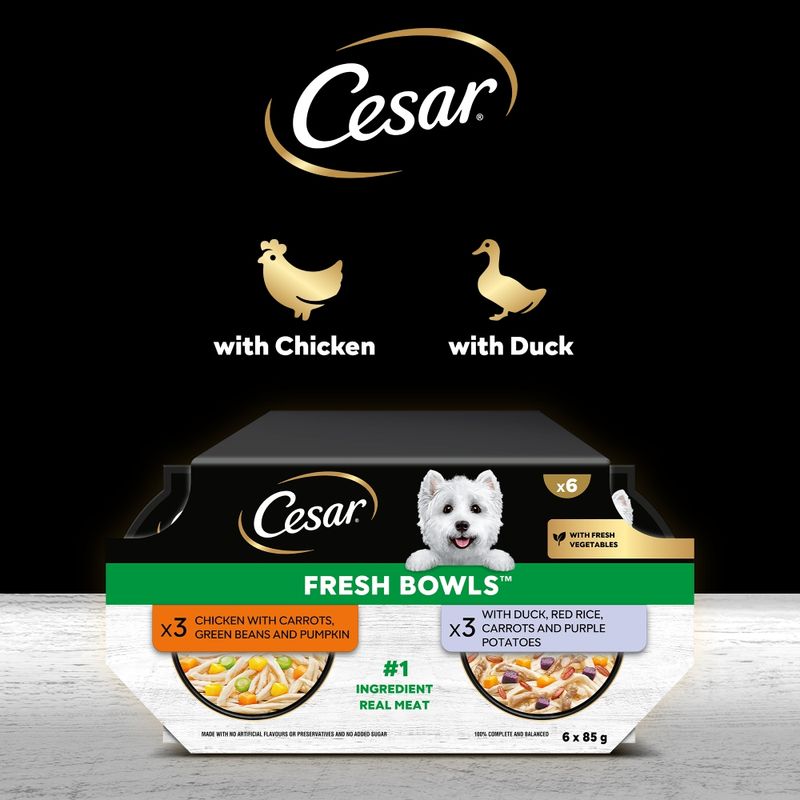 Cesar Fresh Bowls in Gravy Mixed Selection review