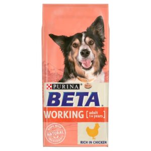 Beta Adult Working Dog