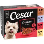 Cesar Pouches Creations in Jelly