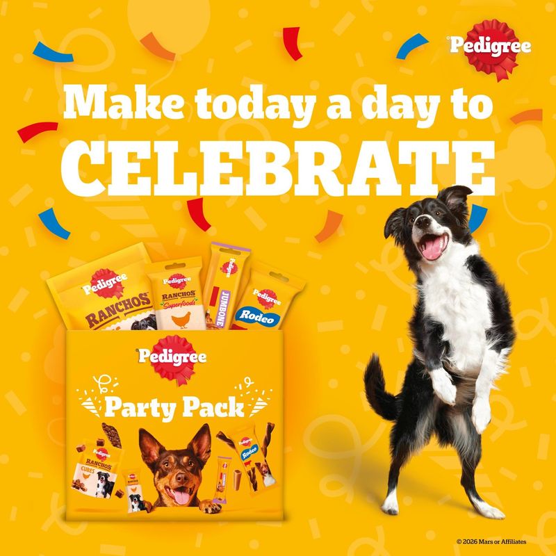 Pedigree Dog Treats Party Pack review