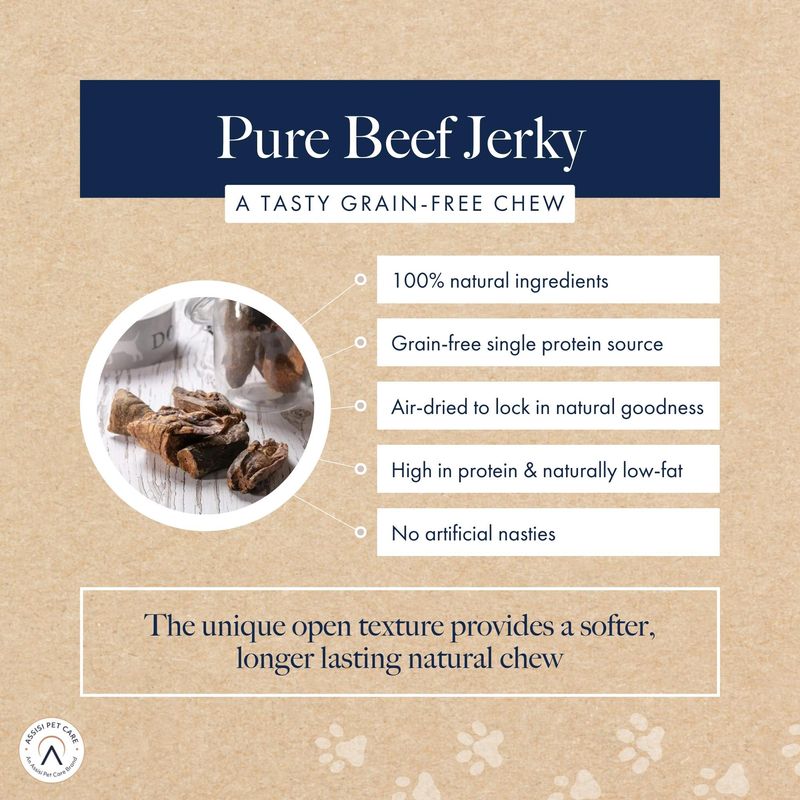Hollings Pure Beef Jerky review