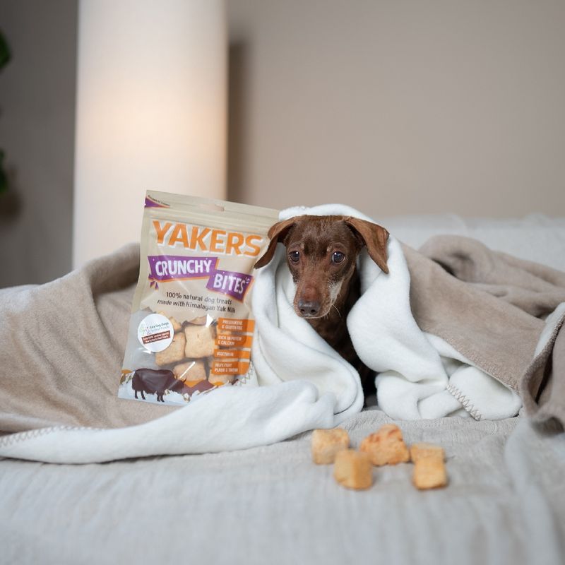 Yakers Crunchy Bites review