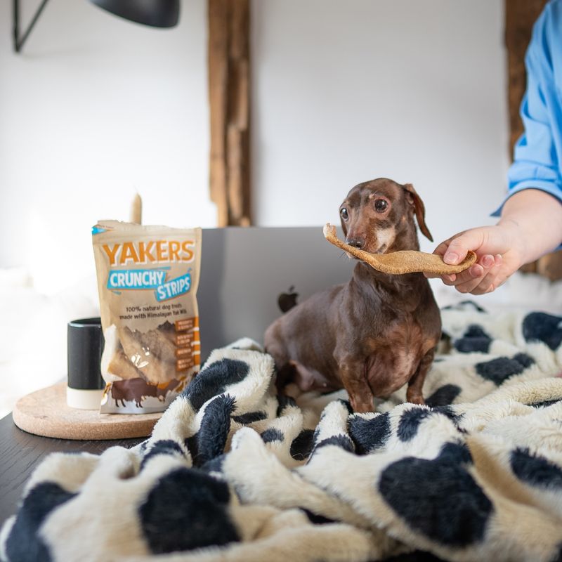 Yakers Crunchy Strips review