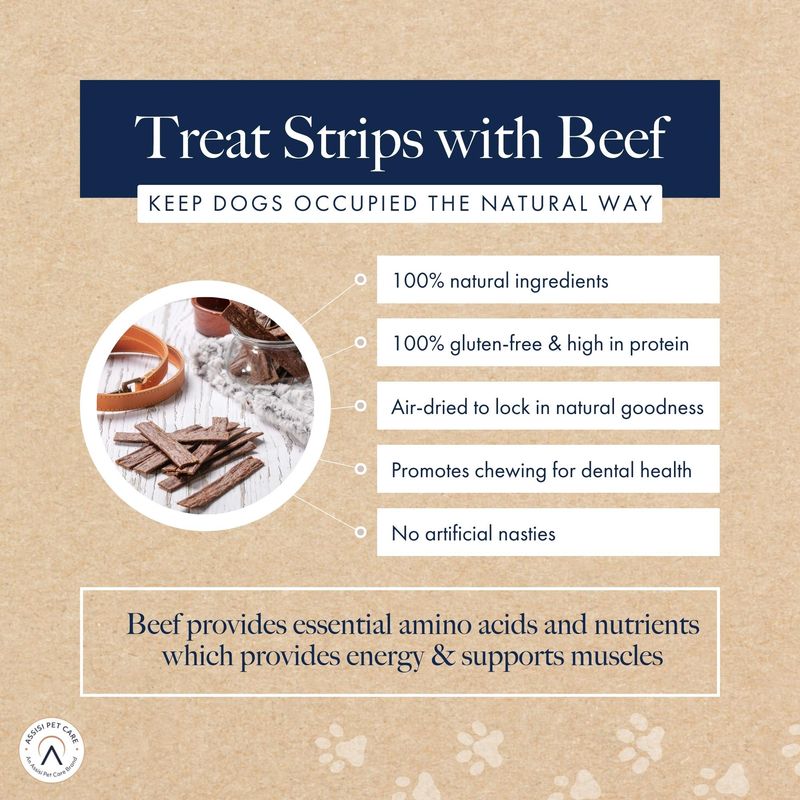 Hollings Treat Strips with Beef review