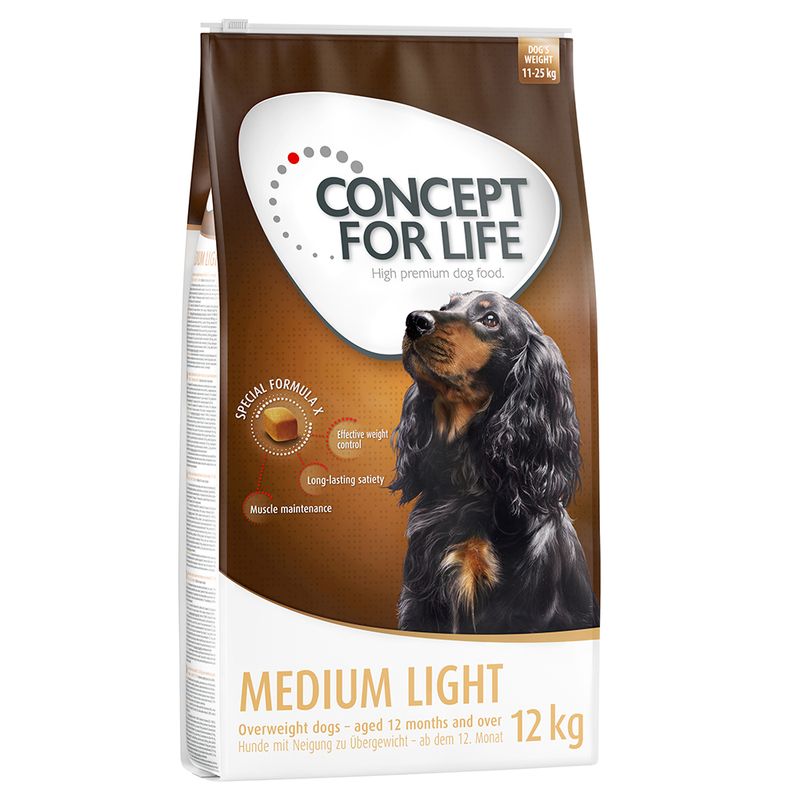 Concept for Life Medium Light review