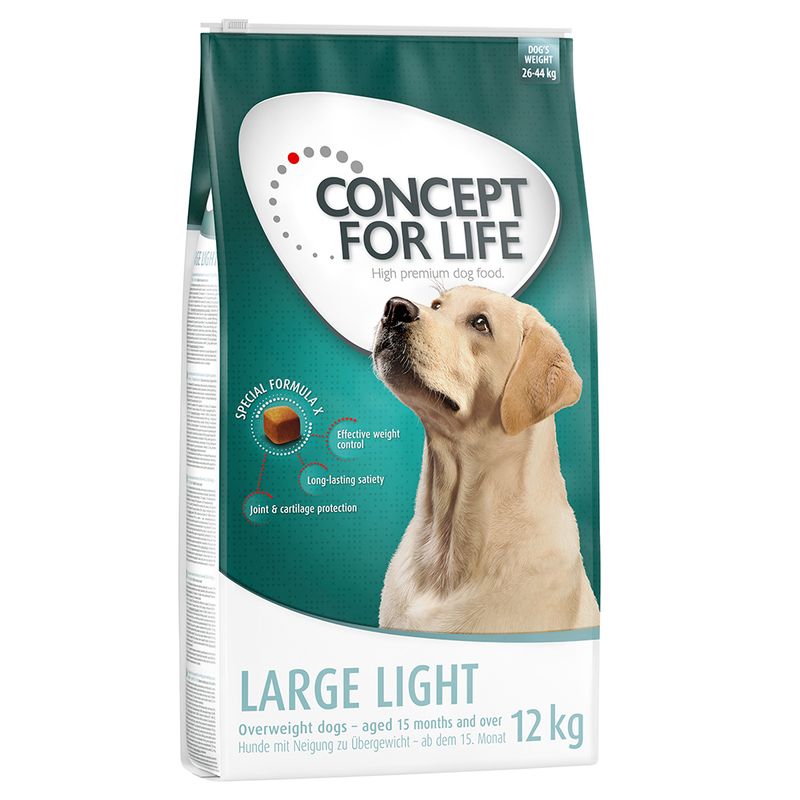 Concept for Life Large Light review