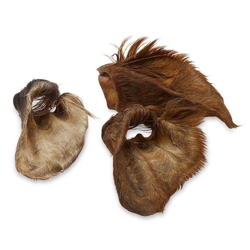 Wolf of Wilderness “High Valley” - Dried Cows’ Ears with Fur review