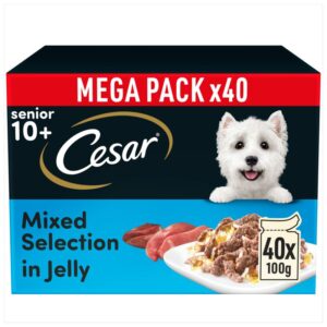 Cesar 10+ Senior Selection in Jelly