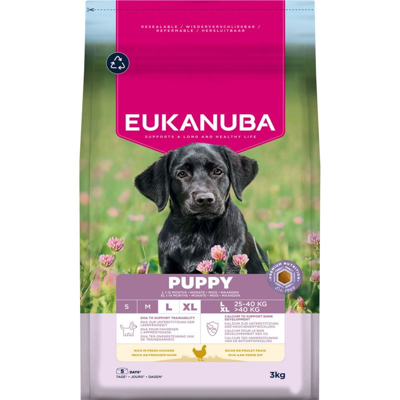 Eukanuba Premium Nutrition Puppy Large & Giant Breed Chicken review