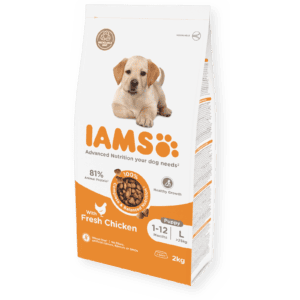 Iams Dry Food Puppy Large Breed with Fresh Chicken