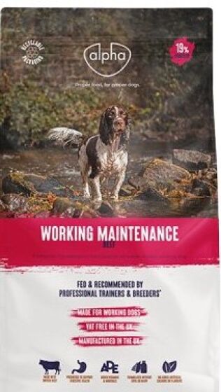 Alpha Working Maintenance review