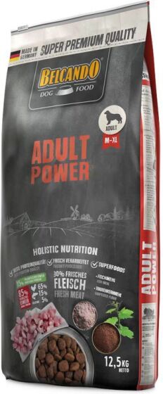 Belcando Adult Power M-XL review