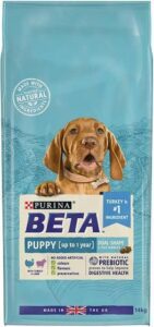 Beta Puppy