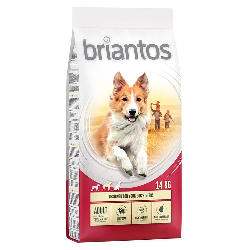 briantos Adult Chicken & Rice review