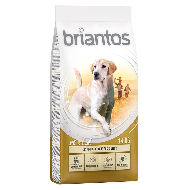 briantos Maxi Adult review