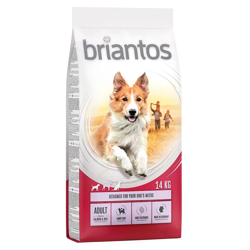 briantos Adult Salmon & Rice review