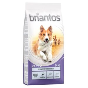 briantos Adult Active